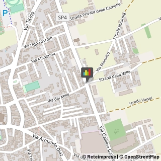 Locali, Birrerie e Pub,28062Novara