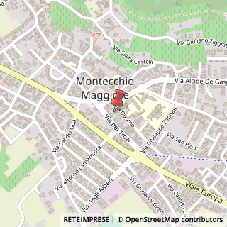 Mappa Via Duomo, 6, 36075 Montecchio Maggiore, Vicenza (Veneto)