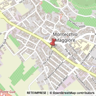 Mappa Viale Europa, 30, 36075 Montecchio Maggiore, Vicenza (Veneto)
