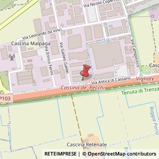 Mappa Via Strada Antica di Cassano, 810, 20060 Cassina de' Pecchi, Milano (Lombardia)
