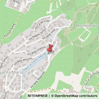 Mappa Via delle Magnolie,  8, 37024 Negrar, Verona (Veneto)