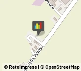 Campeggi, Villaggi Turistici e Ostelli Camisano Vicentino,36100Vicenza