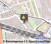 Palestre e Centri Fitness,20157Milano