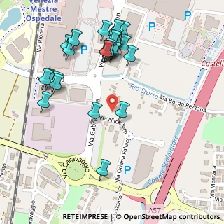 Mappa Via Borgo Pezzana, 30174 Venezia VE, Italia (0.26207)