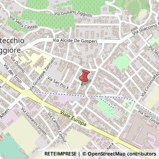 Mappa Via Pigafetta, 6, 36075 Montecchio Maggiore, Vicenza (Veneto)