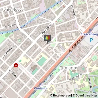 Accumulatori, Batterie e Pile - Commercio Cinisello Balsamo,20132Milano