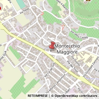 Mappa Via IV Novembre, 13, 36075 Montecchio Maggiore, Vicenza (Veneto)