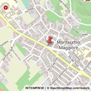Mappa Via IV Novembre, 44, 36075 Montecchio Maggiore, Vicenza (Veneto)