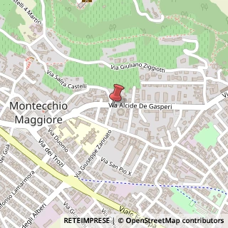 Mappa Via de gasperi alcide 56, 36075 Montecchio Maggiore, Vicenza (Veneto)