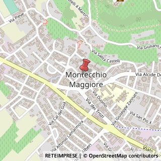 Mappa Via Roma, 31, 36075 Montecchio Maggiore, Vicenza (Veneto)