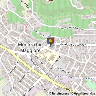 Corrieri Montecchio Maggiore,36075Vicenza