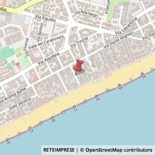 Mappa Via dello Storione, 11, 30016 Jesolo, Venezia (Veneto)