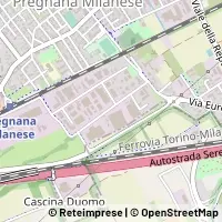 Map Pregnana Milanese