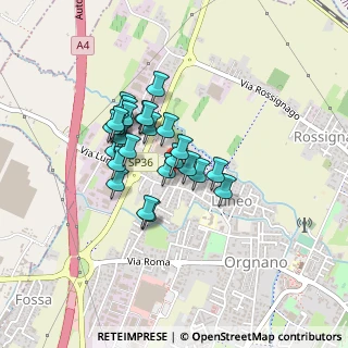 Mappa Via Torino, 30038 Spinea VE, Italia (0.304)