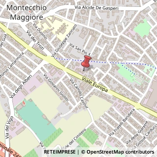 Mappa Viale Europa, 49, 36075 Montecchio Maggiore, Vicenza (Veneto)