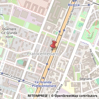 Mappa Viale Fulvio Testi,  89, 20162 Milano, Milano (Lombardia)