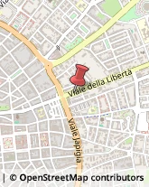 Viale Della Libertà, 47,73100Lecce