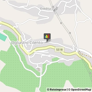 Case di Riposo e Istituti di Ricovero per Anziani Ogliastro Cilento,84061Salerno