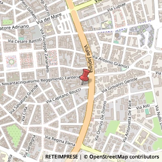 Mappa Via Capitano Ritucci, 41, 73100 Lecce, Lecce (Puglia)