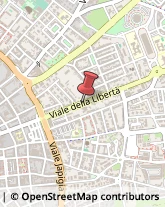 Viale della Libertà, 95/A,73100Lecce