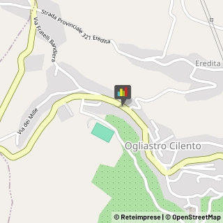 Consulenza Industriale Ogliastro Cilento,84061Salerno
