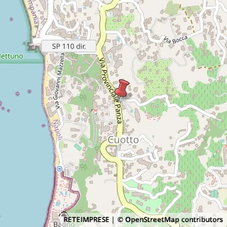Mappa Via Provinciale Panza, 270, 80075 Forio, Napoli (Campania)