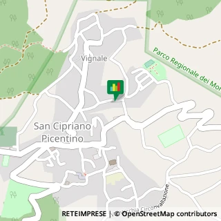 Via Madonnella, 3,84099San Cipriano Picentino