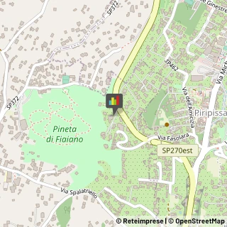 Palestre e Centri Fitness,80077Napoli