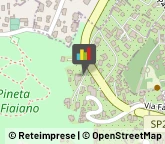 Palestre e Centri Fitness,80077Napoli