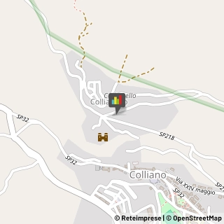 Tartufi e Funghi Colliano,84020Salerno