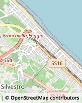 Studi Consulenza - Amministrativa, Fiscale e Tributaria Francavilla al Mare,66023Chieti