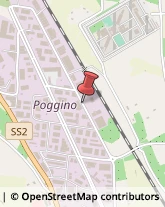 Strada Poggino, 5,01100Viterbo