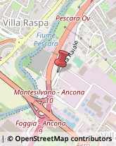 Via Raiale, 110,65128Pescara