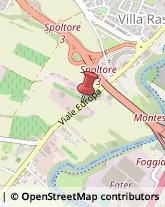 Viale Europa, 126,65010Spoltore