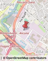 Via Raiale, 141,65128Pescara