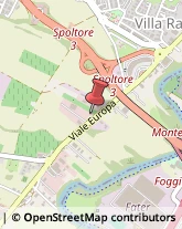 Viale Europa, 150,65010Spoltore