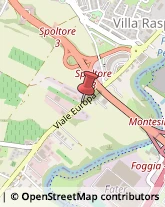 Viale Europa, 142,65010Spoltore