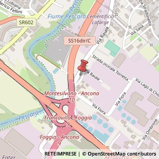 Mappa Via Raiale, 169, 65128 Pescara, Pescara (Abruzzo)