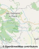 Imprese Edili San Giovanni in Fiore,88833Cosenza