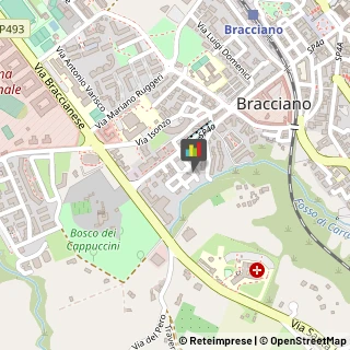 Palestre e Centri Fitness,00062Roma