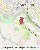 Via Enzo Ferrari, 13,00062Bracciano