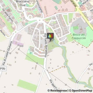 Osteopatia Bracciano,00062Roma