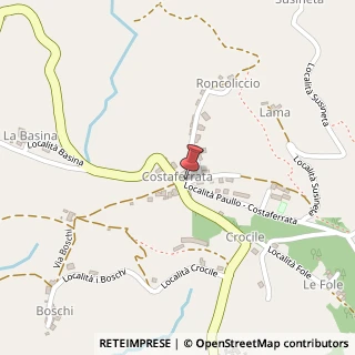 Mappa Via Paullo Costaferrata, 10, 42034 Casina, Reggio nell'Emilia (Emilia Romagna)