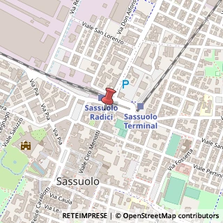 Mappa Via Ciro Menotti, 137, 41049 Sassuolo, Modena (Emilia Romagna)