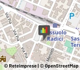 Poltrone e Carrozzelle per Infermi Sassuolo,41049Modena