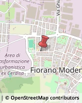 Via G.Verdi, 31,41042Fiorano Modenese