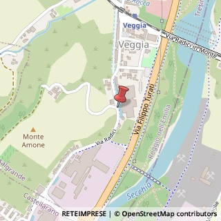 Mappa Via Radici, 71, 42013 Casalgrande, Reggio nell'Emilia (Emilia Romagna)