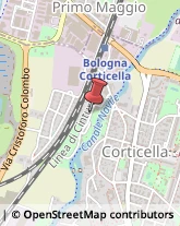 Via San Savino, 37,40128Bologna