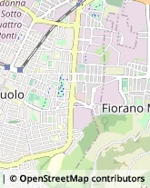 Viale San Marco, 64,41049Sassuolo