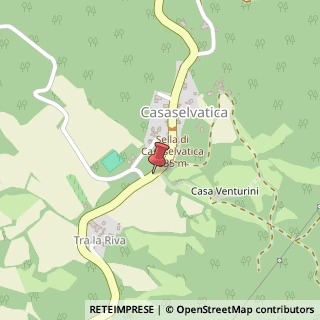 Mappa Località Casaselvatica, 51, 43042 Berceto PR, Italia, 43042 Berceto, Parma (Emilia Romagna)